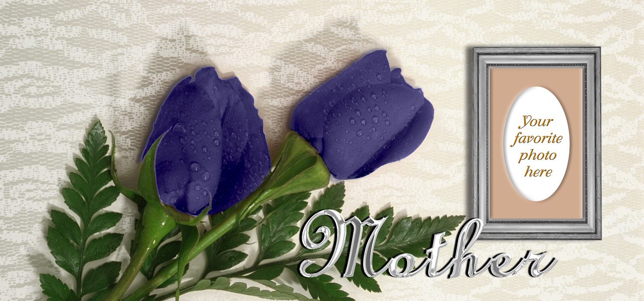 2 Roses Purple Silver Mother
